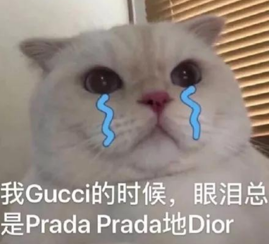 豆瓣|国际奢侈品大使官宣换人,天道好轮回?