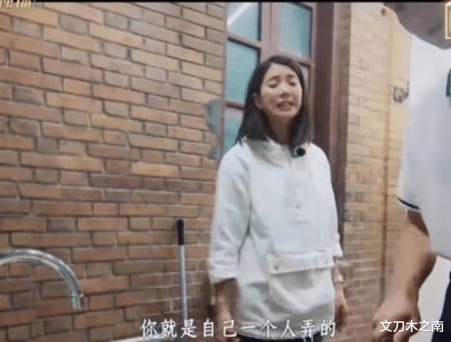 袁咏仪|袁咏仪，也太悲催了！