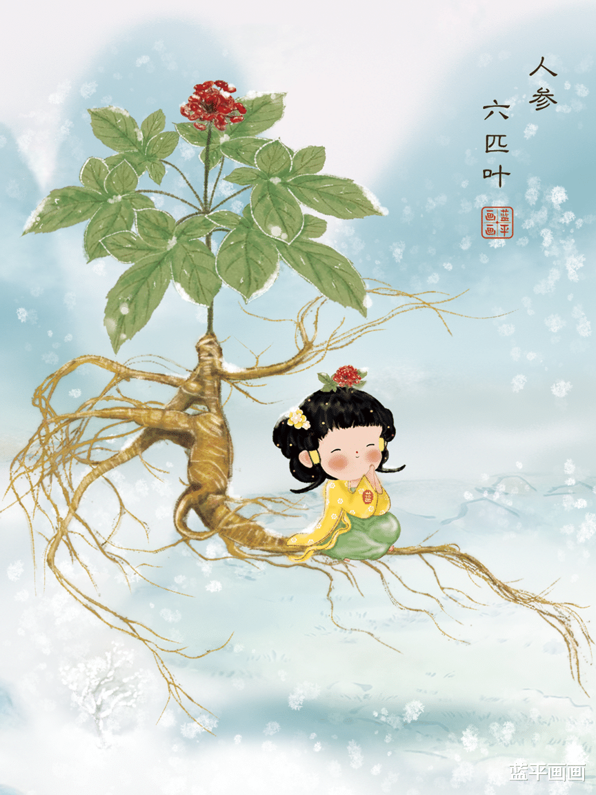 人参的知识｜可爱国风插画