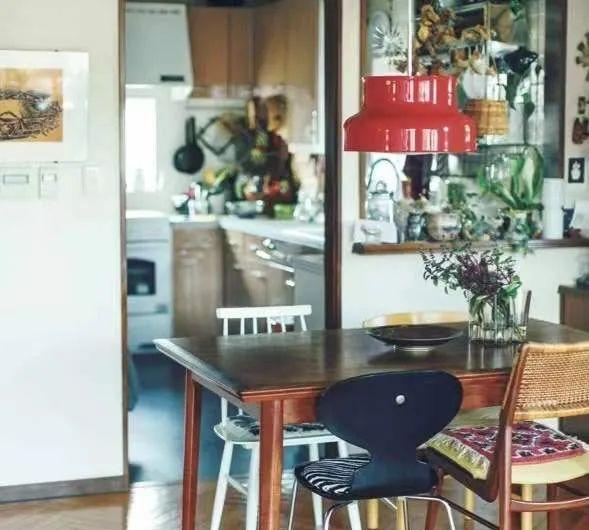 50岁日本太太的精致家居,在家装点出春天,满屋绿植,温馨又养眼