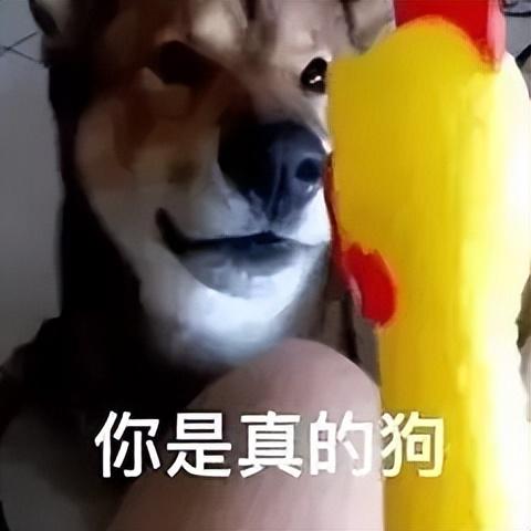 算法|网易云音乐只能用来听歌?你要真这么想,那就图羊图森破了