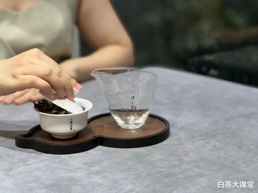 营养膳食|办公室喝白茶,教你3种泡法,简单又实用,夏天喝茶时用得着