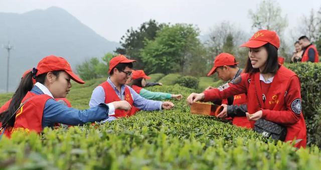 三支一扶|多省“三支一扶”招募已启动，缺口大门槛低，往届生别错过好机会