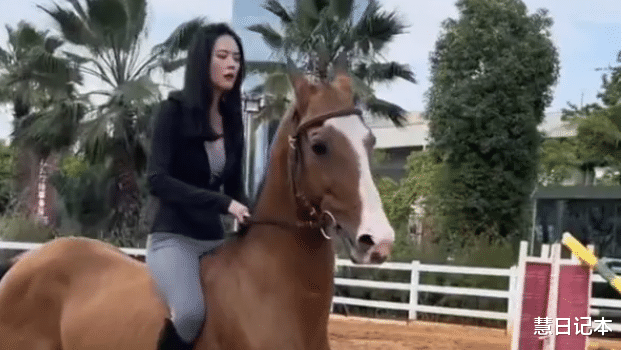 云南女孩“马术”精湛过人,驾驭各种战马,网友:骑马界的天花板!