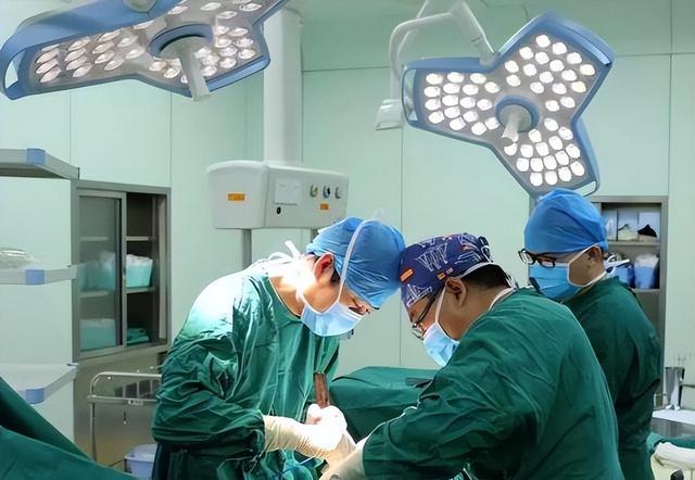 人类换头术要来了?我国耗资7000万,完成首例猴子“换头”手术