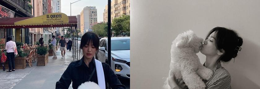 宋慧乔|打破公主印象宋慧乔更自豪厨艺非凡！闺蜜证实：生日大餐都她包办