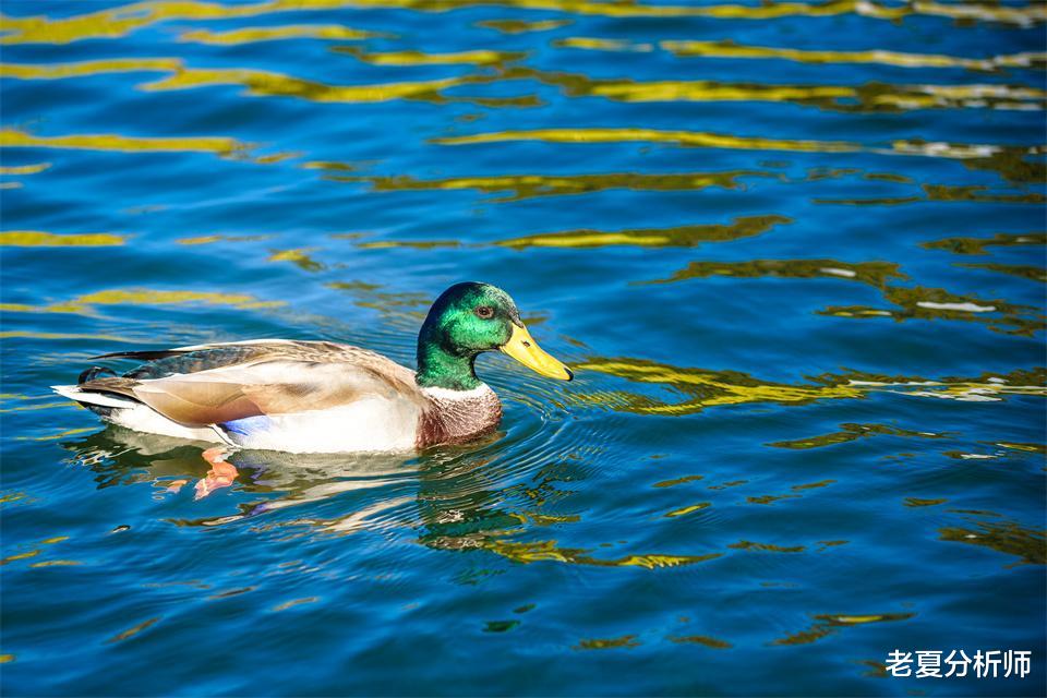 高校|对于年轻人来说，稳稳当当上班才是真正的出路，你赞同么？