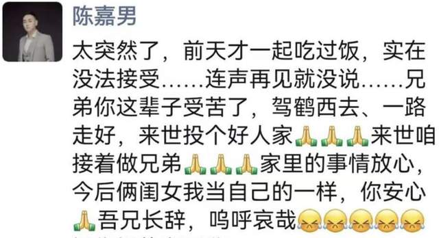 陈晨|38岁童星去世！“小龙人”陈嘉男承诺为其养俩女儿，戏骨悲痛悼念