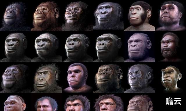 人类祖先为了进化成人,究竟付出了什么惨痛的代价?