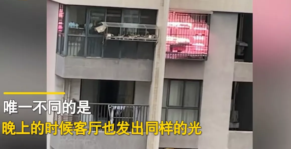 近日,安徽合肥,发生了一件趣事