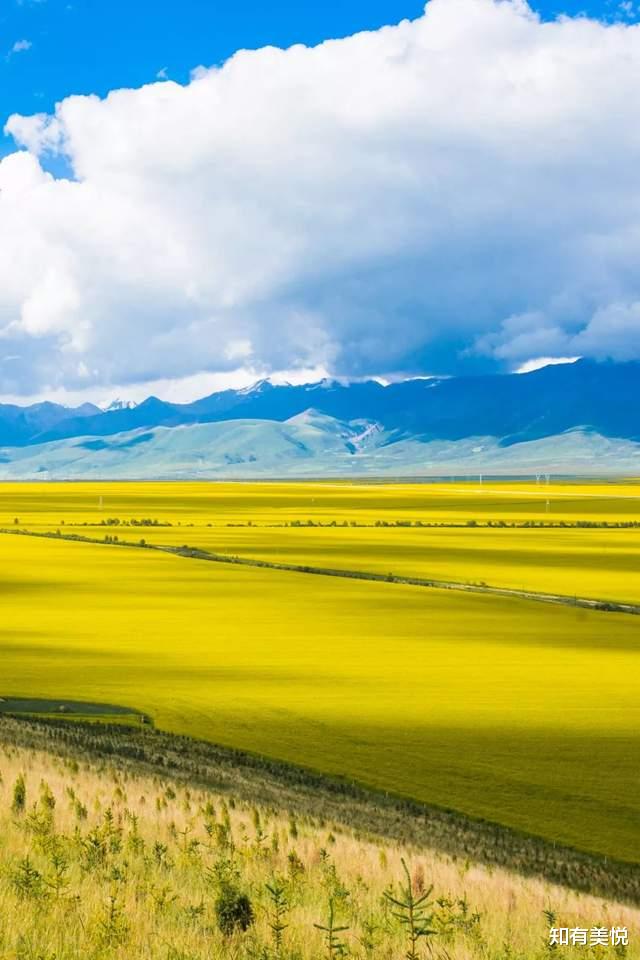 |暑期旅行地推荐：国内10个避暑绝佳之地，让你过一个清凉的夏天！