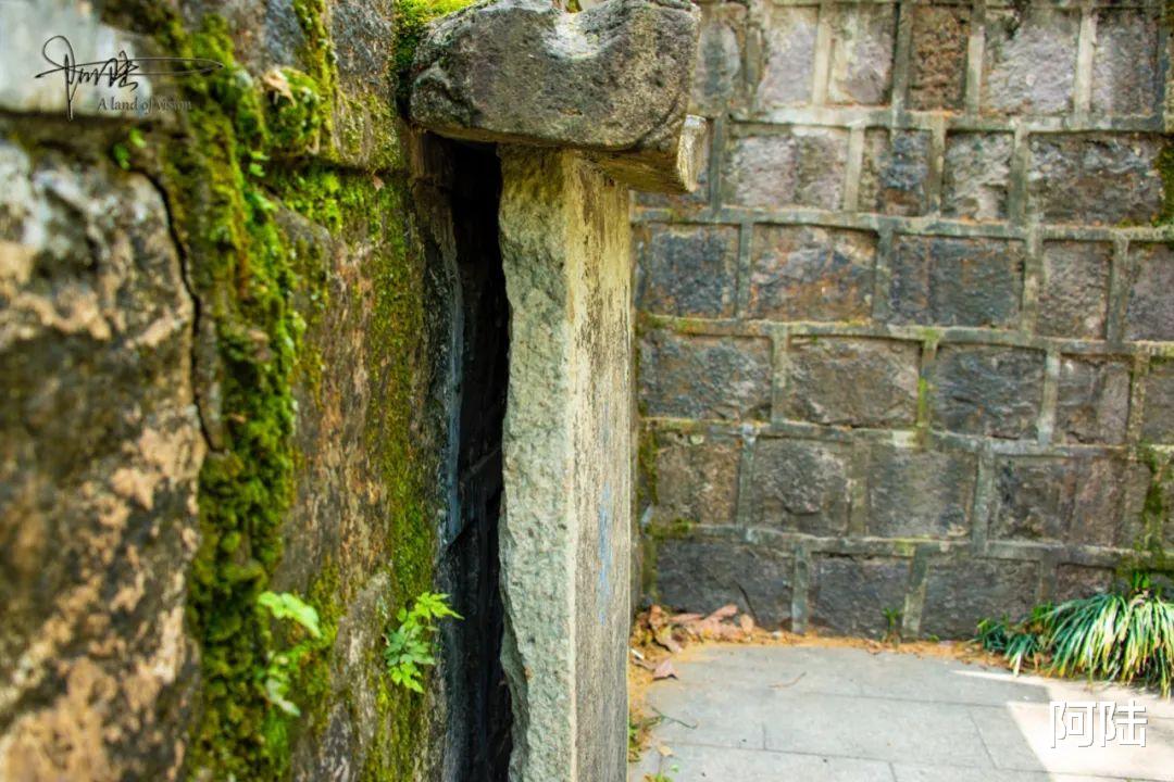 杭州|在古泉池里钓鱼，相信这样的事情也只有在杭州才可能发生了吧