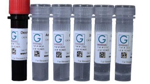 高纯度蛋白质，G-Biosciences 多种类重组蛋白研究
