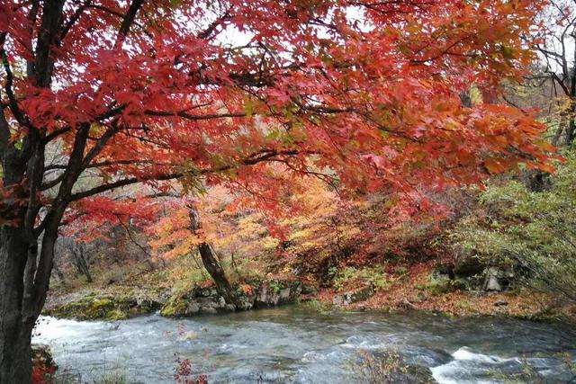 辽宁省|辽宁这个村子名字跟土匪有关，却藏着最美山沟，被上帝赐给了画家