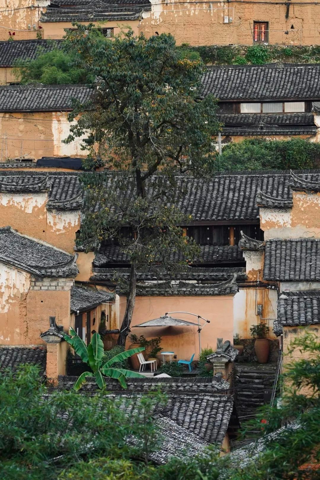 梯田|比苏杭安静，比婺源小众！史上“含村量”最高！这才是最美的江南