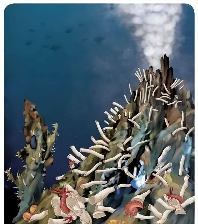 地球生命几十亿年的演化史,为何没有出现不怕火的动物?