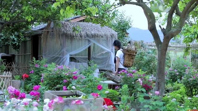 向往李子柒的田园生活,不妨栽下“三种花”,阳台也能变“仙境”