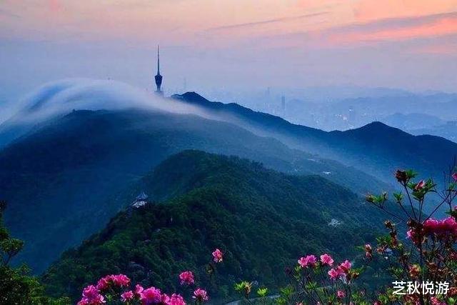 旅行|深圳的免费景点有哪些地方？这几处免门票又好玩，快去打卡吧