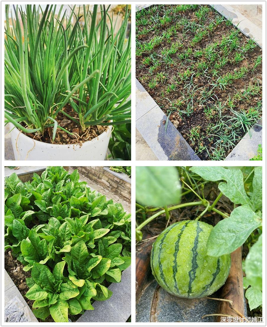 张馨予|3位女明星庭院大PK,小孩子才做选择我都爱,是我理想中生活没错了