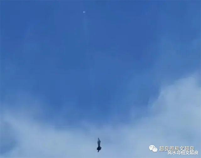 蝙蝠被吊在半空,这是什么情况,外星人吗?