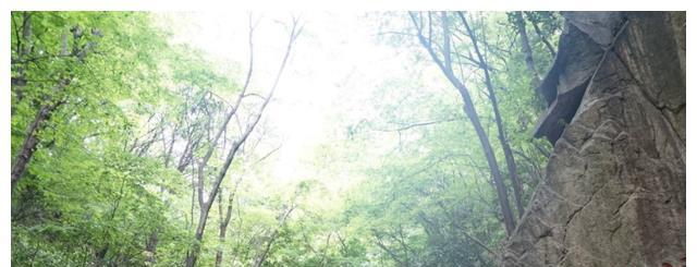 大别山|华东这条山脉太低调了，与三个省份接壤，坐拥2个5A级景区