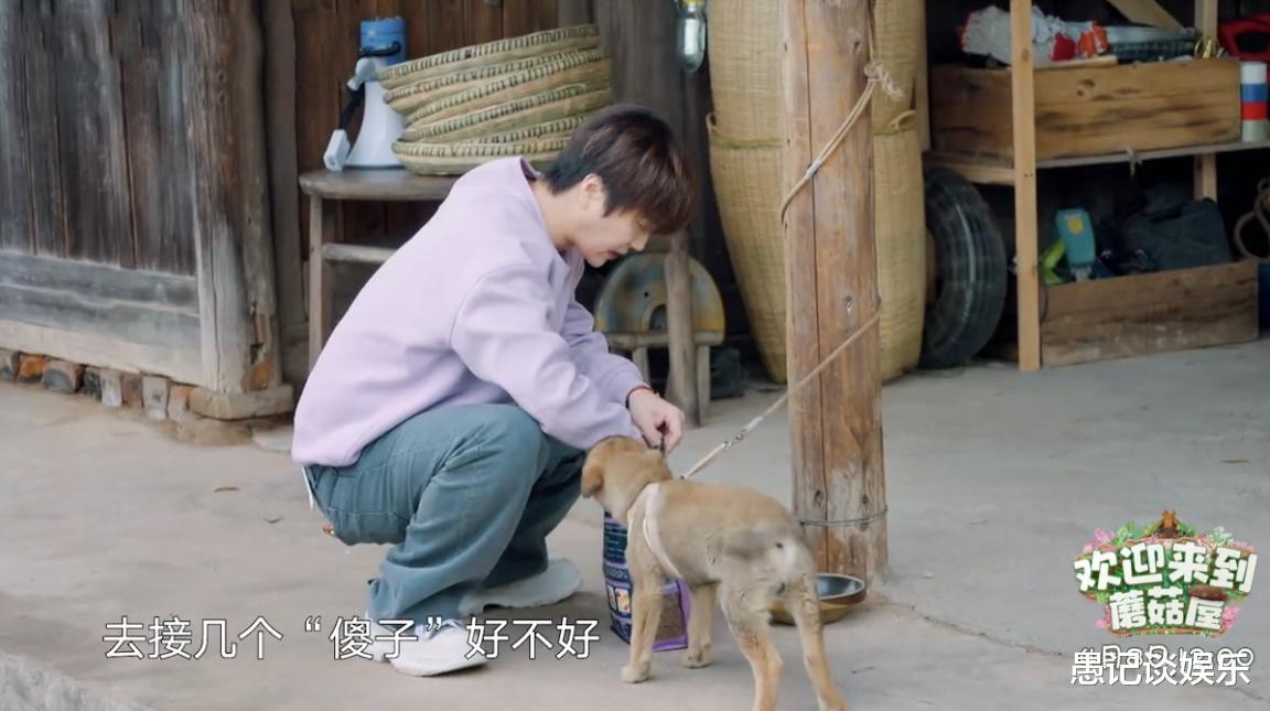 王志文|《欢迎来到蘑菇屋》定档，这哪里是去蘑菇屋度假，分明是渡劫