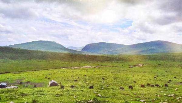 西藏旅游|消夏避暑何处去 车拉草原美如画