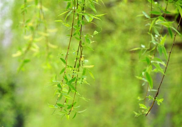 补水 初春天气应该怎样护肤?