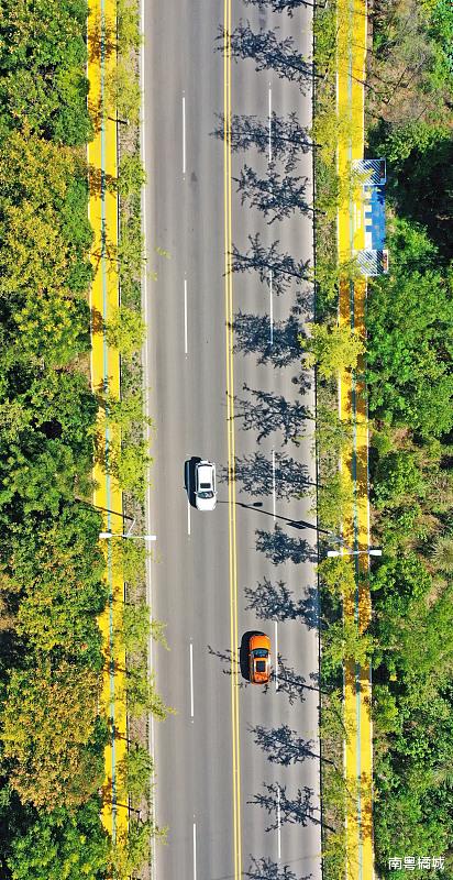 广东省|海南省在建环岛旅游公路，预计明年6月完工，路线总长1429.4公里