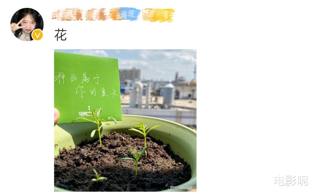 王源|王源分享春日随拍，造型稚嫩仿佛回到15岁，粉丝直呼王源永远年轻