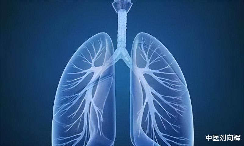 |百病生于气，气足百病消，一个妙方，补足全身之气，浑身充满活力