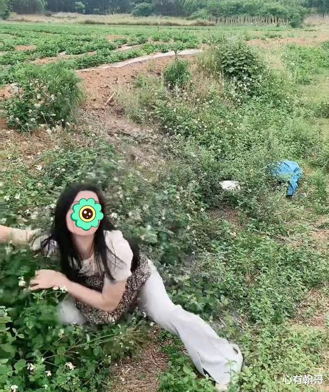 女子不愿务农,在田边装疯卖傻,其老公拍摄下来并发布到网上