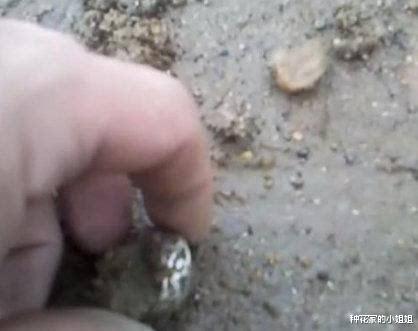 江苏盐城一男子捡到戒指丢掉,被判赔8千多元!
