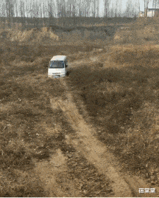 |“钓鱼被咬了,不过钓到了一条招财龙鱼,不亏...