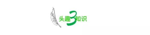 全网热议的“大学生活费只有500元”事件,扯掉多少父母的遮羞布?