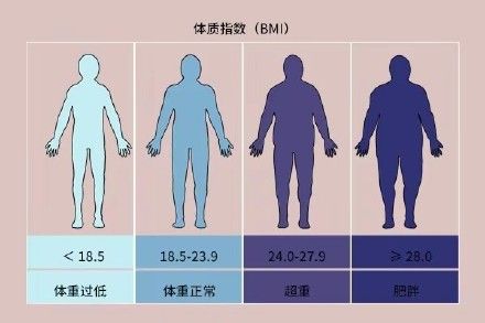 bmi 这套居家减肥指南请收好！