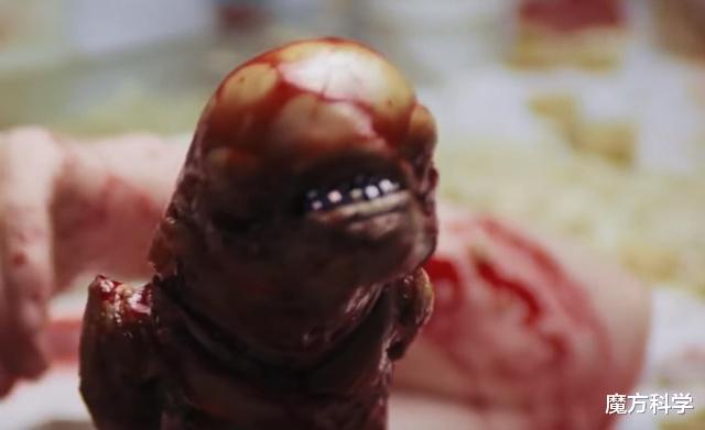 罕见!国外网友抓获一神秘透明生物,异形上演?对人类威胁有多大
