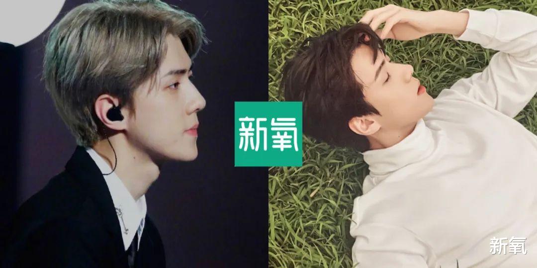 杨幂录节目受伤？五官位置里权值第一的是？