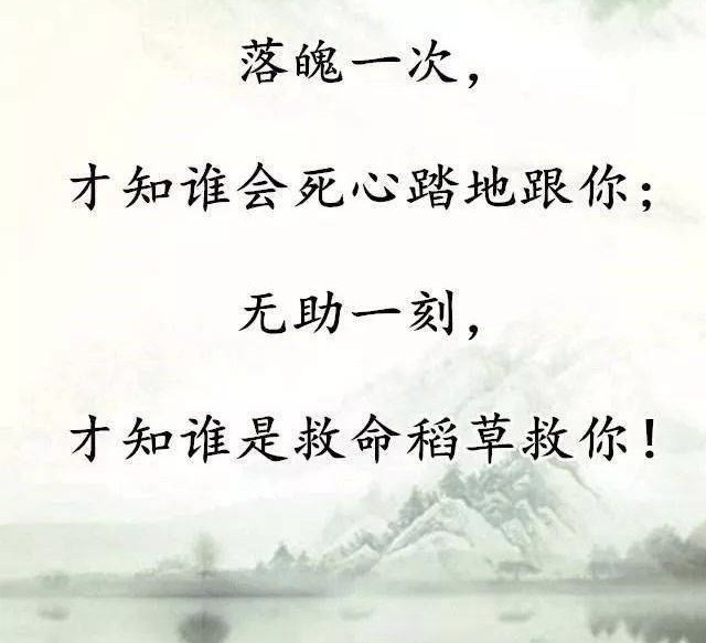 小飞侠熙熙 真话虽然刺耳,却能直指不足!