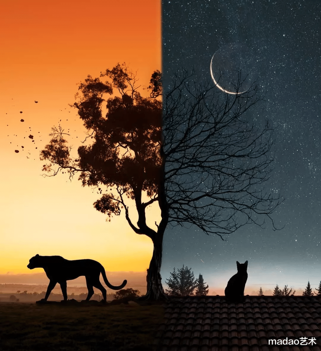 这样的PS效果，突破你的想象，脑洞大开