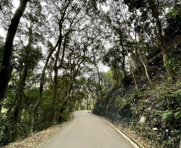 周润发|66岁周润发爬山遇野猪！眼角皱纹爬满显苍老，现场杂乱一地枯树叶