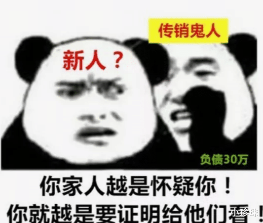 张庭|横着走的张庭夫妇夫妇是被谁扳倒的？