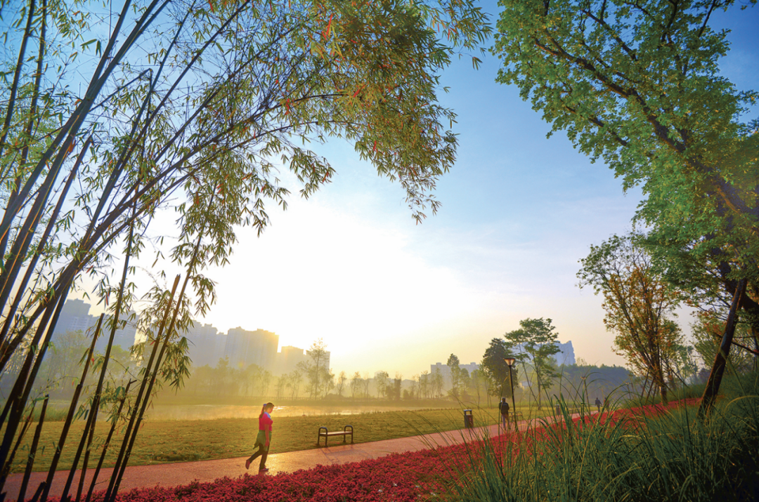 成都|最美蓉城金秋!公园城市5大美景等你解锁→