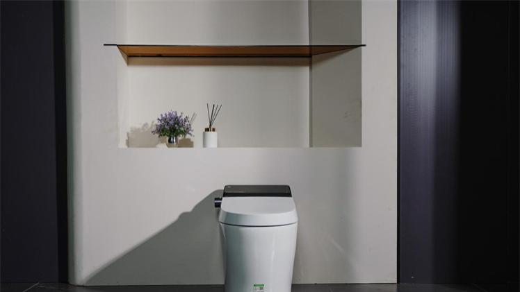 不用去国外抢马桶盖，这个国产马桶就好用，方便的同时还能做体检
