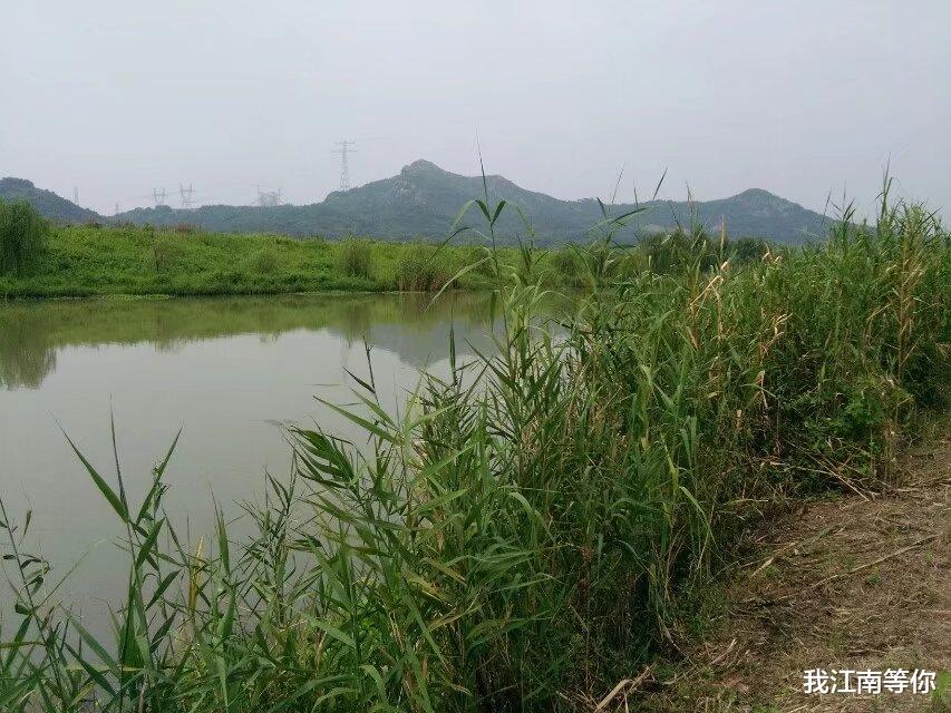 19岁男子遇到17岁女子,带着女子在大河边挖地洞,住在了地洞里