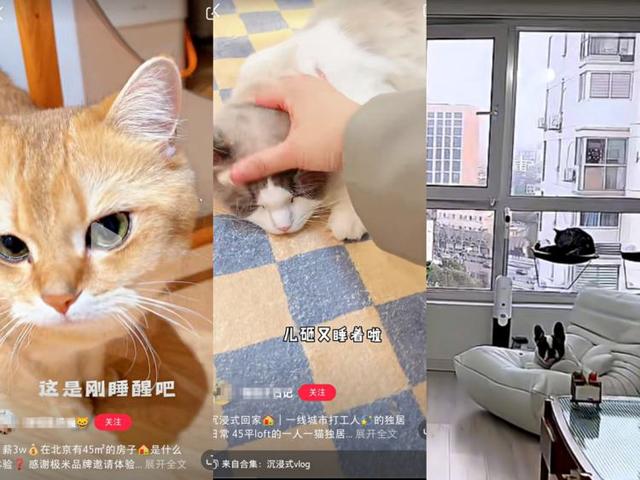 孤独的人们，沉浸式回家？