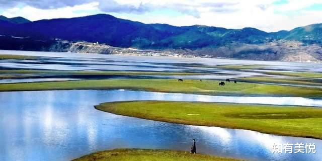 神农架|这8个初夏好去处,遇见限定的风景,看看你对哪个更心动吧!