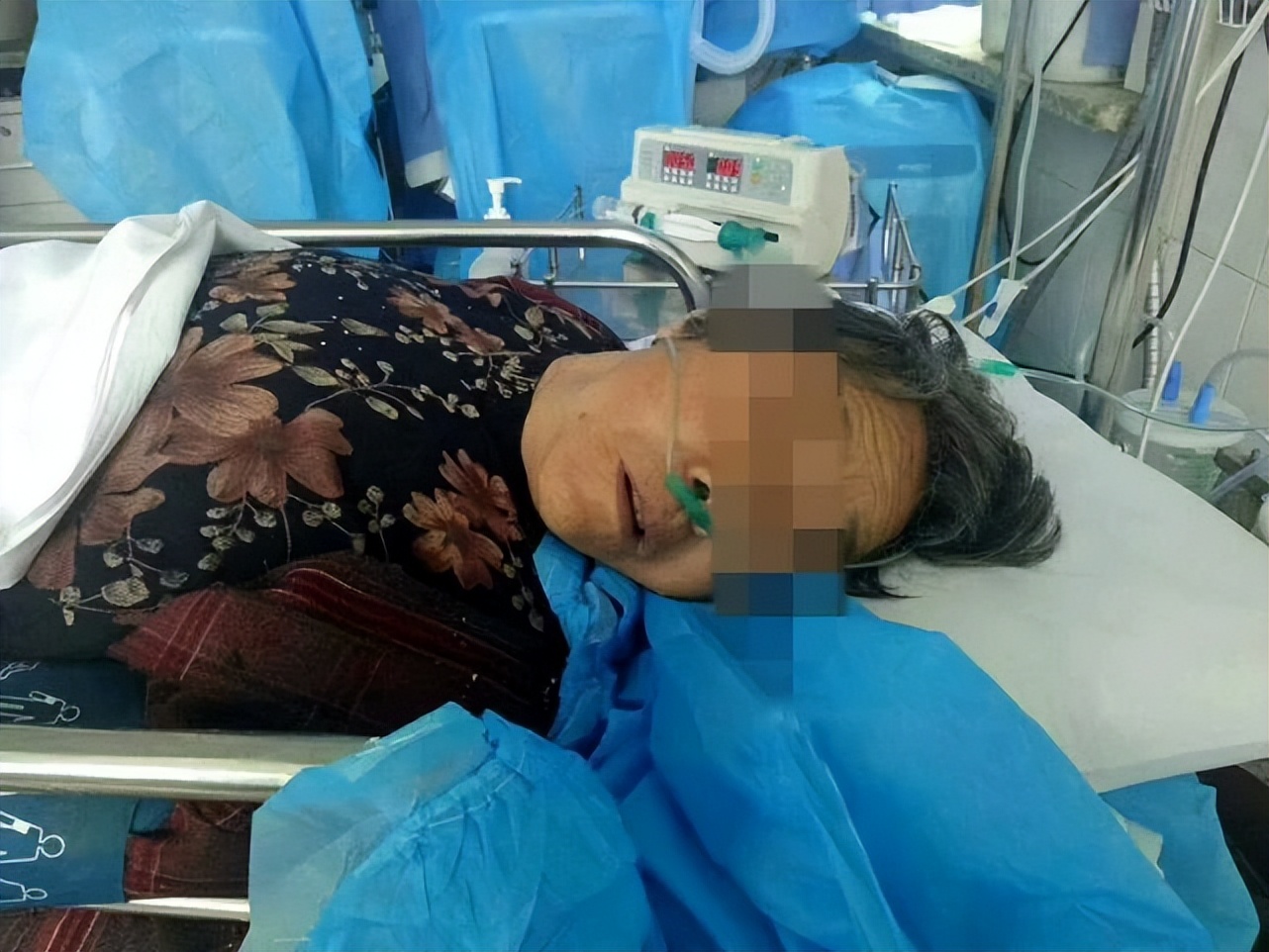 卫生间里的黑色小飞虫是什么？传播病菌、寄生人体！赶紧消灭才行。