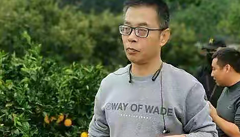 许敏|不用刻意强调许姚田一家亲，找真相也要安心生活