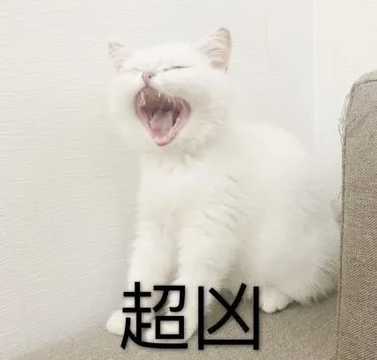 陈晓|陈晓深夜发文：17年了，依然放不下她！